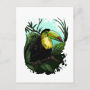 Recherche de oiseau toucan cartes postales Forêt tropicale