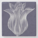 Recherche de tulipe dessous de verres Floral