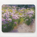 Recherche de aster pourpre Fleurs sauvages pourpres