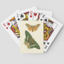 Recherche de papillon jeux de cartes Insectes