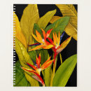 Recherche de tropical bureau fournitures Fleur