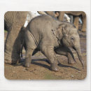 Suche nach niedliches kalb mousepads Elefant
