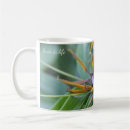 Recherche de pistil Fleurs
