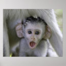 Recherche de mère nature posters Animaux dans la nature