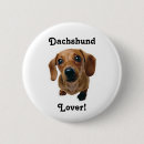 Recherche de teckel badges Doxie