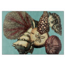 Recherche de méduses planches à découper Anémone