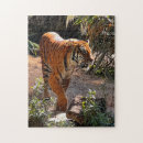 Recherche de tigre bengale puzzles Animaux sauvages