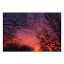 Suche nach lila baum poster Bäume