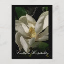 Recherche de actuel cartes postales Eau