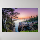 Suche nach gland poster Kiefernwald