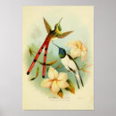 Recherche de hibou posters Rétro