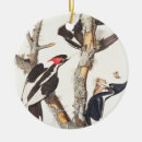Recherche de audubon ornements 1829