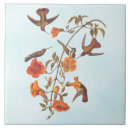 Recherche de john carreaux Colibri