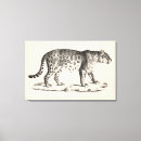 Recherche de faune impressions sur toile Léopard