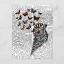 Recherche de de coquille cartes postales Conque