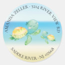 Suche nach turtle aufkleber Schildkröte