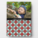 Suche nach insekten fotoplatten Käfer