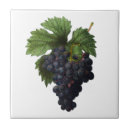 Suche nach redoute fliesen Botanisch