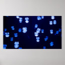 Recherche de allumé art Lanternes