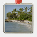 Recherche de paysage tropical ornements Arbre