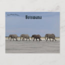 Suche nach botswana postkarten Sonnenuntergang