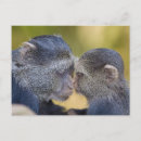 Suche nach mutter afrika poster Fauna