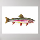 Suche nach regenbogenforelle poster Fisch