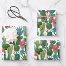 Recherche de cactus papier cadeau Plantes
