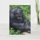 Recherche de poilu vœux cartes Faune