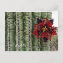 Recherche de cactus noël cartes postales Saguaro