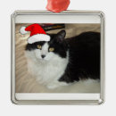 Recherche de humour de chat ornements Cats