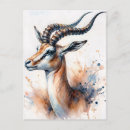 Recherche de gazelle cartes postales Aquarelle