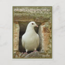 Recherche de citation de bible cartes postales Paix