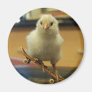 Recherche de roulette magnete Pour elle