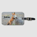 Recherche de renard bagages étiquettes Nature