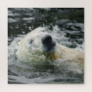 Recherche de polaire puzzles Nature