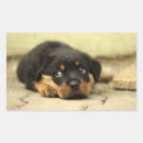 Suche nach hündchen aufkleber Bild