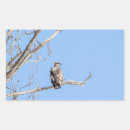 Recherche de plumes blanches autocollants Faune