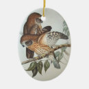 Suche nach vintage eule ornamente Tiere