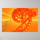 Suche nach desoxyribonukleinsäure poster Genetik