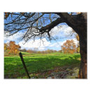 Suche nach weideland poster Zaun