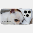 Recherche de propriétaire coques Dog