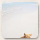 Suche nach maya untersetzer Mexiko