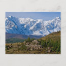 Recherche de mongole cartes postales Nature