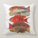 Suche nach orange fische Rot