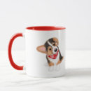 Recherche de chiot de noël tasses Corgi