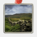 Suche nach zaun ornamente Horizontal