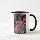Recherche de buddah Nature
