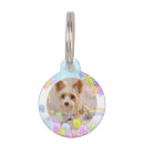 Recherche de ballons animaux articles Mignon