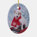 Suche nach jrt ornamente Hund